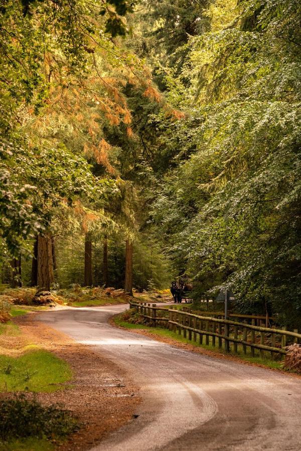 New Park Manor Hotel - A Luxury Family Hotel Brockenhurst Luaran gambar