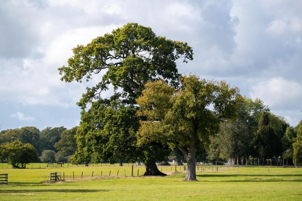 New Park Manor Hotel - A Luxury Family Hotel Brockenhurst Luaran gambar