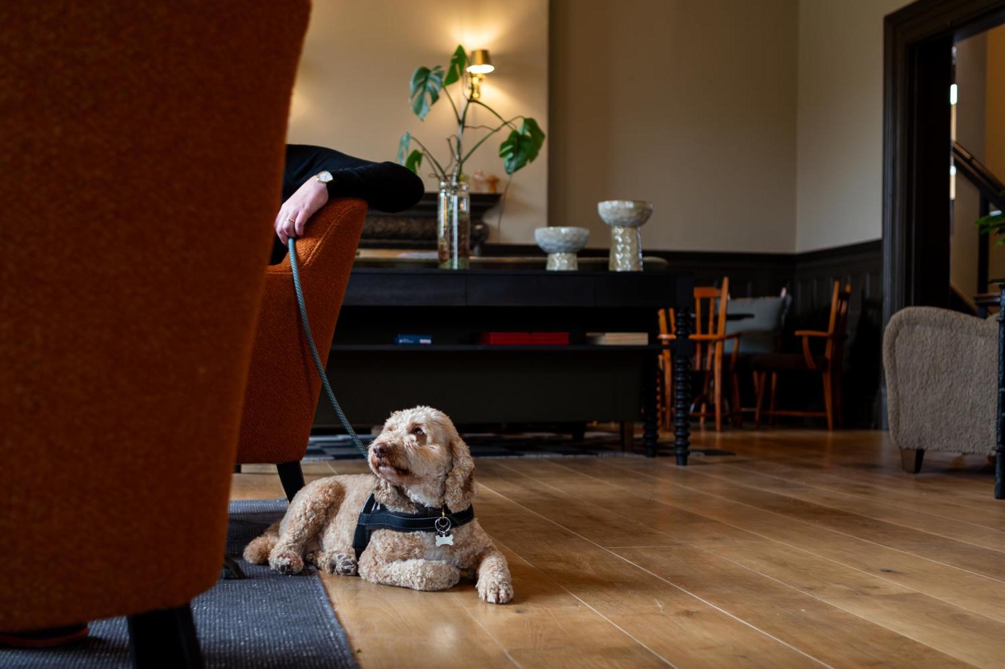 New Park Manor Hotel - A Luxury Family Hotel Brockenhurst Luaran gambar